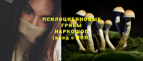 крисы Карталы