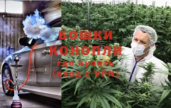 крисы Карталы