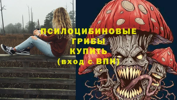 крисы Карталы