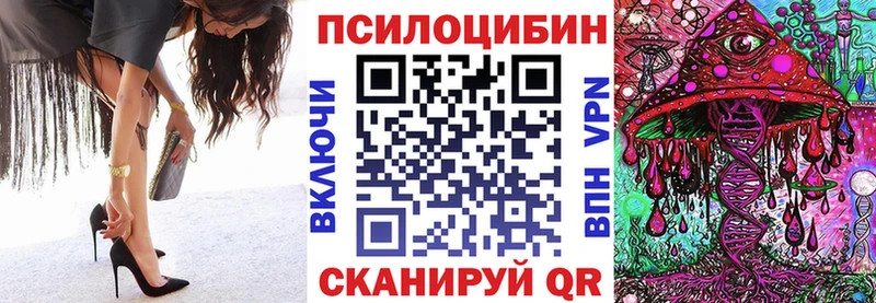 Купить  Десногорск  Галлюциногенные грибы Psilocybine cubensis 